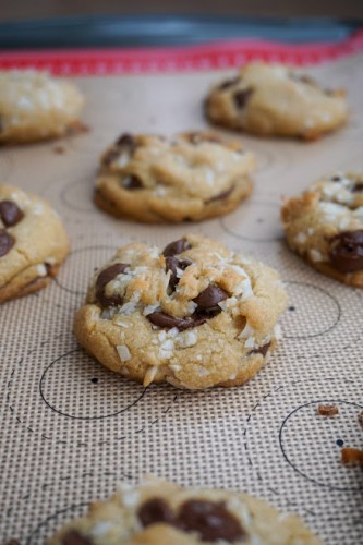 Vegan Coconut Chocolate Chip Cookies